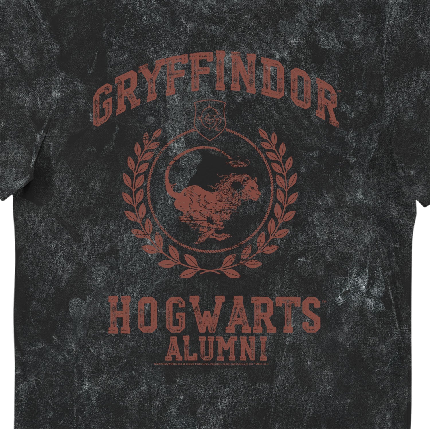 Harry Potter Kids Griffindor House Tunic